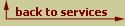 back to services button